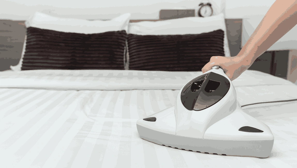 Professional Mattress Cleaning Pascoe Vale